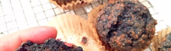Blueberry Bran Muffins (vegan)